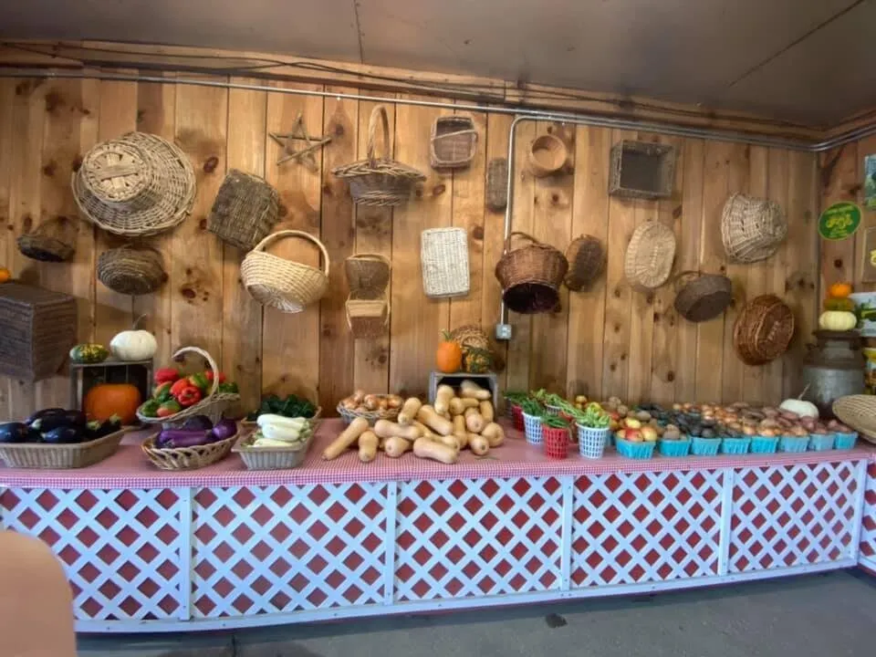 Baskets of fresh produce: carrots, beets, radishes and greens
